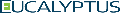 Logo Eucalyptus Systems