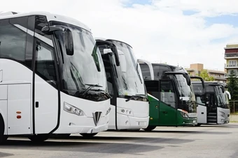 row of tourist buses