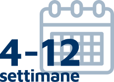 icona manutenzione