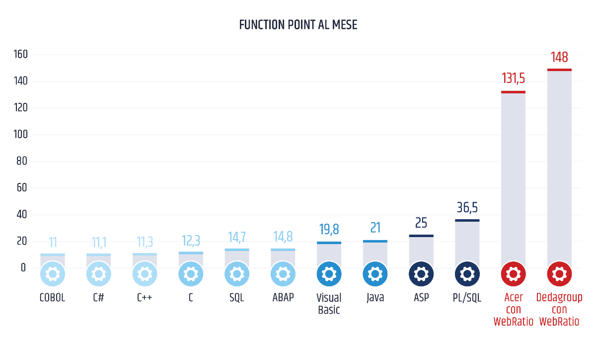 Istogramma del function point al mese